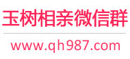 玉树相亲微信群