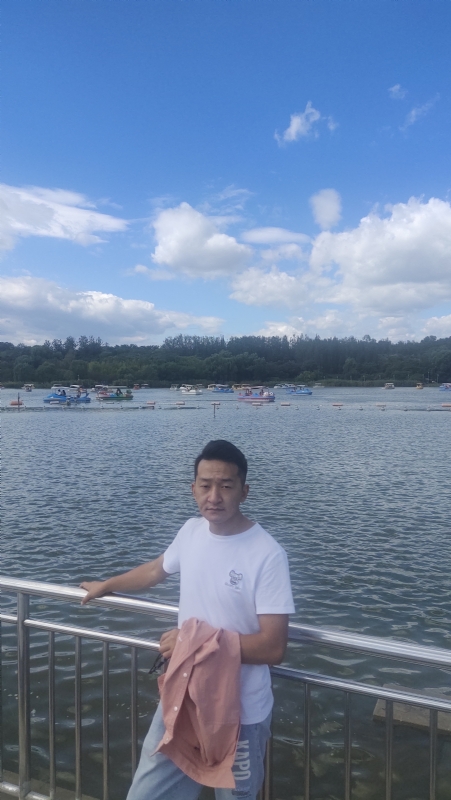 脱了壳的龟的第一张照片--青海交友中心